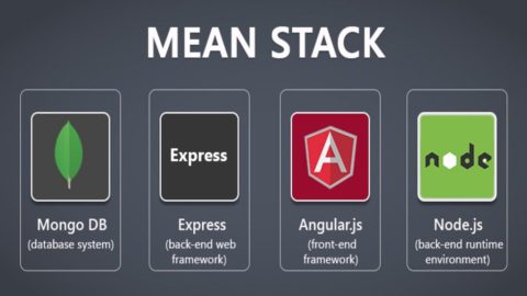 What should I learn to become a Full Stack Developer? - LEAD